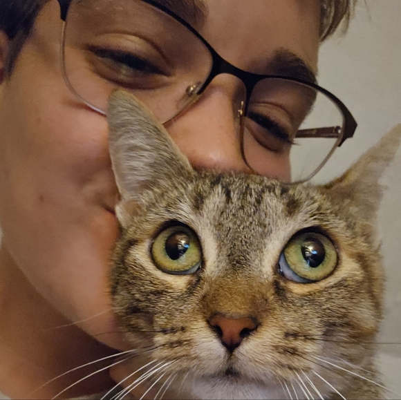 Meet your Posher, Rowan - Picture 1 of 1